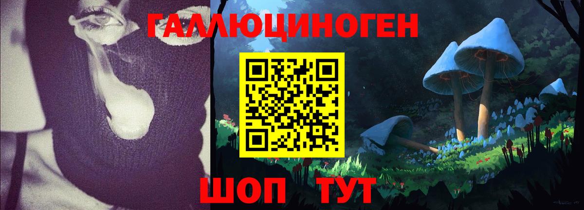 Кыштым  Галлюциногенные грибы Psilocybine cubensis  Галлюциногенные грибы мицелий  Вход с VPN 